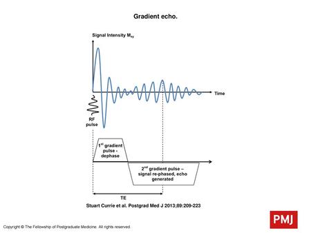 Gradient echo. Gradient echo. An excitatory radiofrequency (RF) pulse causes transverse magnetisation and initiation of a free induction decay signal.