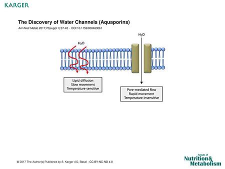 The Discovery of Water Channels (Aquaporins)