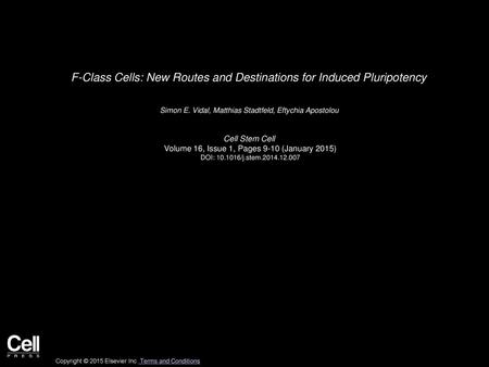 F-Class Cells: New Routes and Destinations for Induced Pluripotency