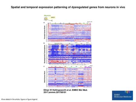 Spatial and temporal expression patterning of dysregulated genes from neurons in vivo Spatial and temporal expression patterning of dysregulated genes.