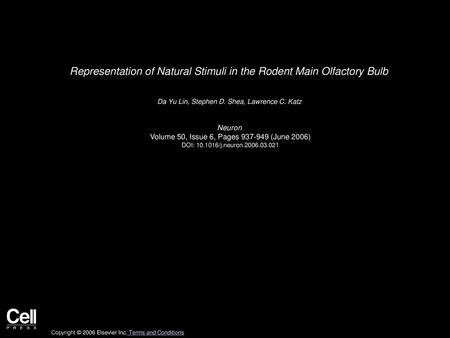 Representation of Natural Stimuli in the Rodent Main Olfactory Bulb