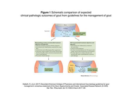 Figure 1 Schematic comparison of expected