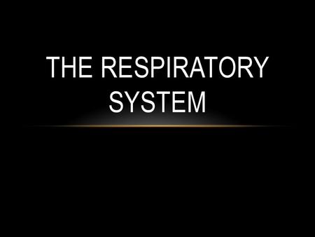 The Respiratory System