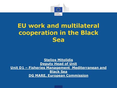 EU work and multilateral cooperation in the Black Sea