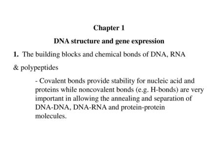 DNA structure and gene expression