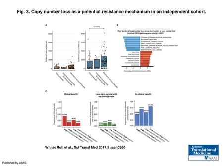 Fig. 3. Copy number loss as a potential resistance mechanism in an independent cohort. Copy number loss as a potential resistance mechanism in an independent.