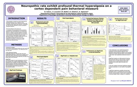 Neuropathic rats exhibit profound thermal hyperalgesia on a cortex dependent pain behavioral measure O. Calvo1, S. Lavarello2, M. Baliki2, D. Chialvo2,