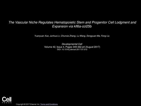 The Vascular Niche Regulates Hematopoietic Stem and Progenitor Cell Lodgment and Expansion via klf6a-ccl25b  Yuanyuan Xue, Junhua Lv, Chunxia Zhang, Lu.