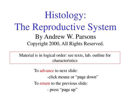 Histology: The Reproductive System By Andrew W