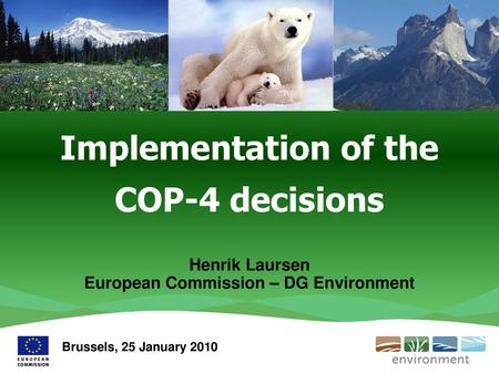 Implementation of the COP-4 decisions