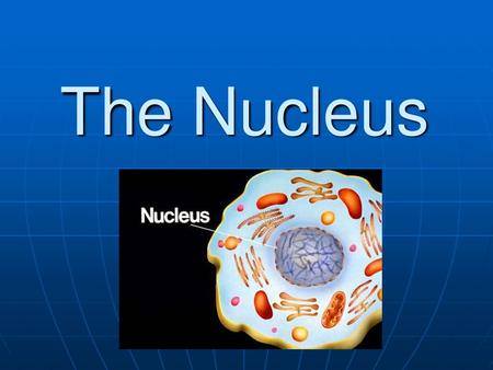 The Nucleus.