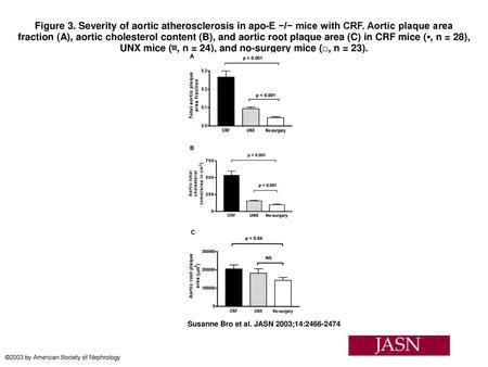 Figure 3. Severity of aortic atherosclerosis in apo-E −/− mice with CRF. Aortic plaque area fraction (A), aortic cholesterol content (B), and aortic root.