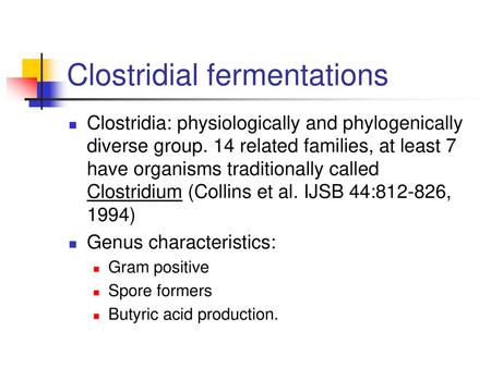 Clostridial fermentations