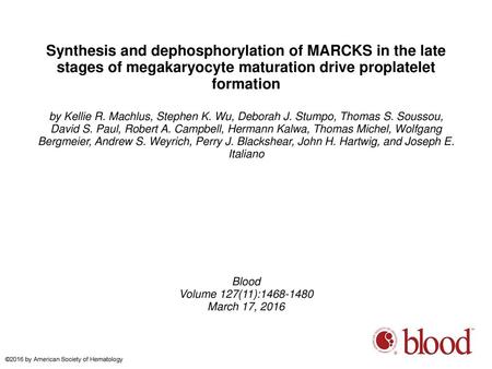 Synthesis and dephosphorylation of MARCKS in the late stages of megakaryocyte maturation drive proplatelet formation by Kellie R. Machlus, Stephen K. Wu,