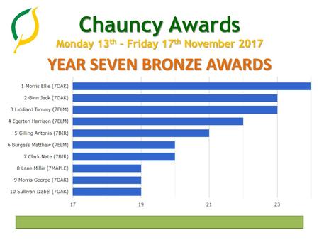 YEAR SEVEN BRONZE AWARDS