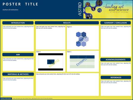 P O S T E R T I T L E EXAMPLE EXAMPLE EXAMPLE INTRODUCTION RESULTS