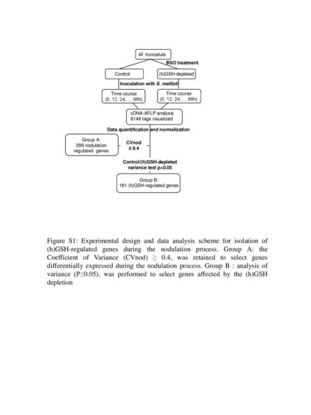 Data quantification and normalization