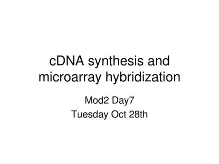 cDNA synthesis and microarray hybridization