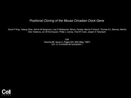 Positional Cloning of the Mouse Circadian Clock Gene