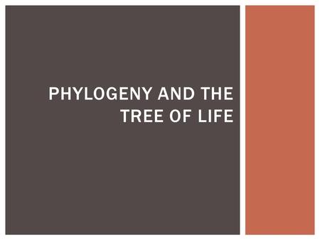 Phylogeny and the tree of Life