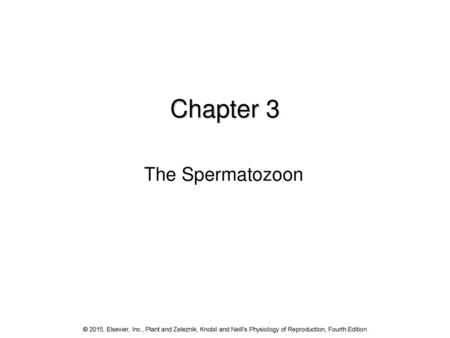 Chapter 3 The Spermatozoon