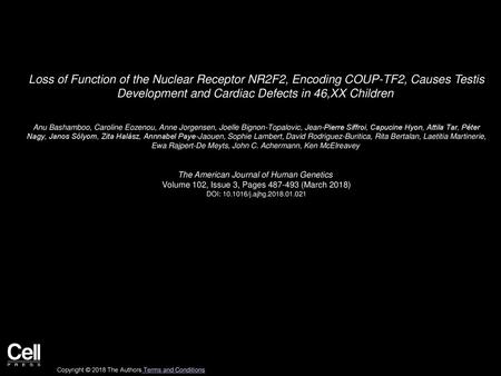 Loss of Function of the Nuclear Receptor NR2F2, Encoding COUP-TF2, Causes Testis Development and Cardiac Defects in 46,XX Children  Anu Bashamboo, Caroline.