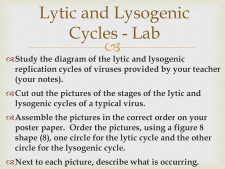 Lytic and Lysogenic Cycles - Lab