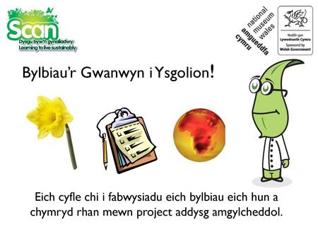 Bylbiau’r Gwanwyn i Ysgolion!