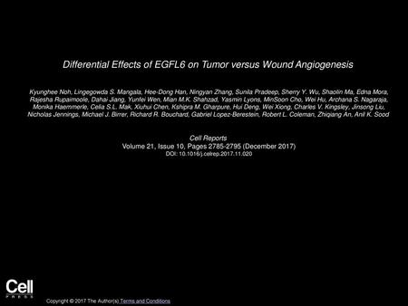 Differential Effects of EGFL6 on Tumor versus Wound Angiogenesis