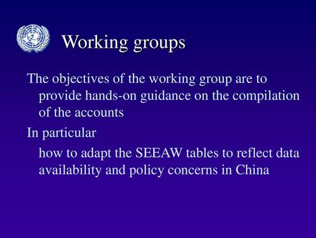 Working groups The objectives of the working group are to provide hands-on guidance on the compilation of the accounts In particular how to adapt the SEEAW.