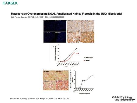 Cell Physiol Biochem 2017;42:1945– DOI: /