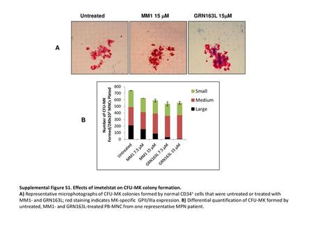 A B Untreated MM1 15 mM GRN163L 15mM