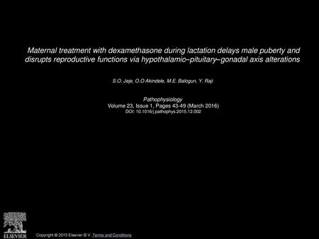 Maternal treatment with dexamethasone during lactation delays male puberty and disrupts reproductive functions via hypothalamic–pituitary–gonadal axis.