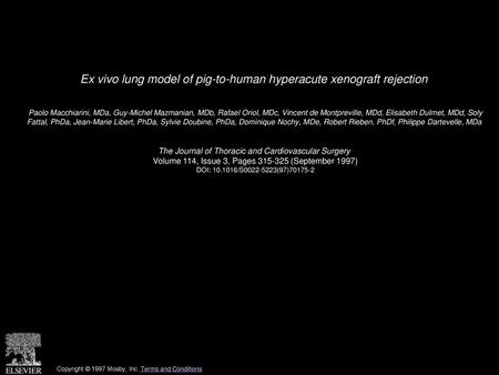 Ex vivo lung model of pig-to-human hyperacute xenograft rejection