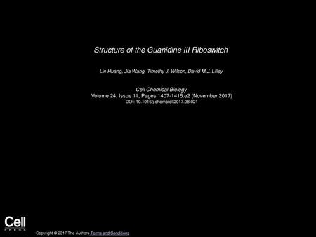 Structure of the Guanidine III Riboswitch