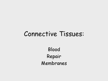 Blood Repair Membranes