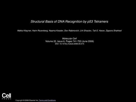 Structural Basis of DNA Recognition by p53 Tetramers