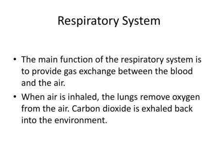 Respiratory System The main function of the respiratory system is to provide gas exchange between the blood and the air. When air is inhaled, the lungs.