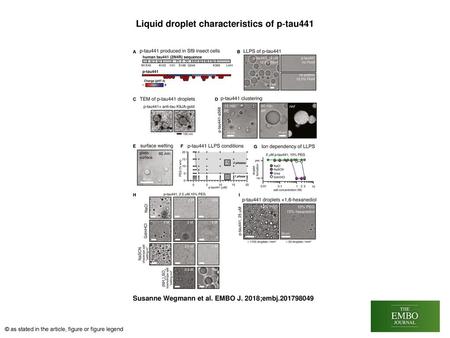 Liquid droplet characteristics of p‐tau441