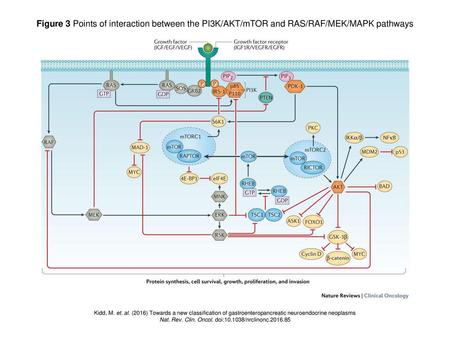 Nat. Rev. Clin. Oncol. doi: /nrclinonc