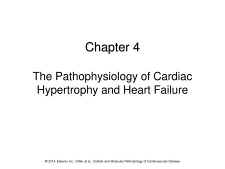 Chapter 4 The Pathophysiology of Cardiac Hypertrophy and Heart Failure