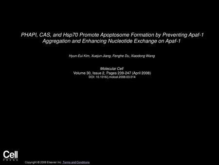 PHAPI, CAS, and Hsp70 Promote Apoptosome Formation by Preventing Apaf-1 Aggregation and Enhancing Nucleotide Exchange on Apaf-1  Hyun-Eui Kim, Xuejun.