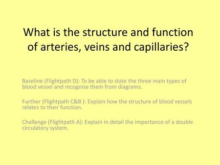 What is the structure and function of arteries, veins and capillaries?