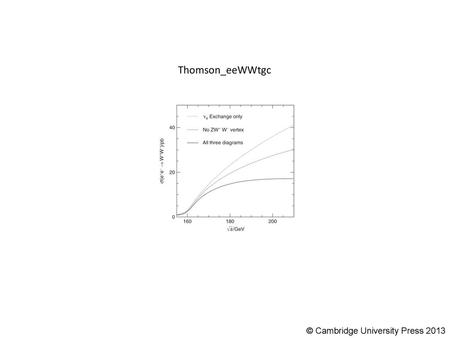 Thomson_eeWWtgc © Cambridge University Press 2013.