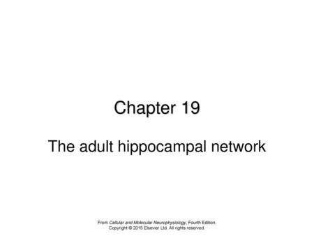 Chapter 19 The adult hippocampal network