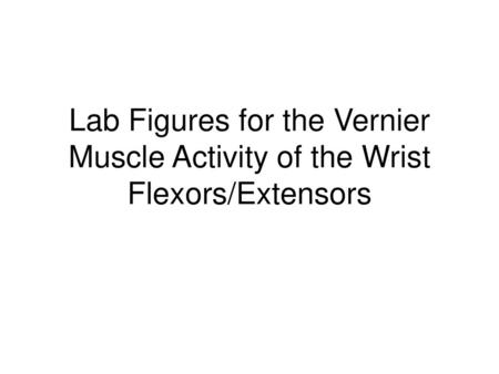 EXTENSORS of the Wrist and Fingers Anchor on the Medial