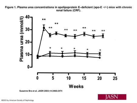 Figure 1. Plasma urea concentrations in apolipoprotein E–deficient (apo-E −/−) mice with chronic renal failure (CRF). Figure 1. Plasma urea concentrations.