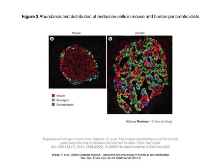 Nat. Rev. Endocrinol. doi: /nrendo