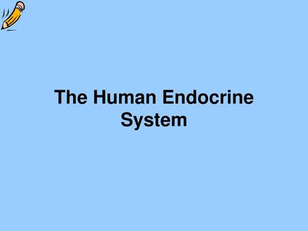 The Human Endocrine System