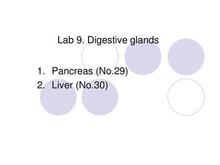 Pancreas (No.29) Liver (No.30)